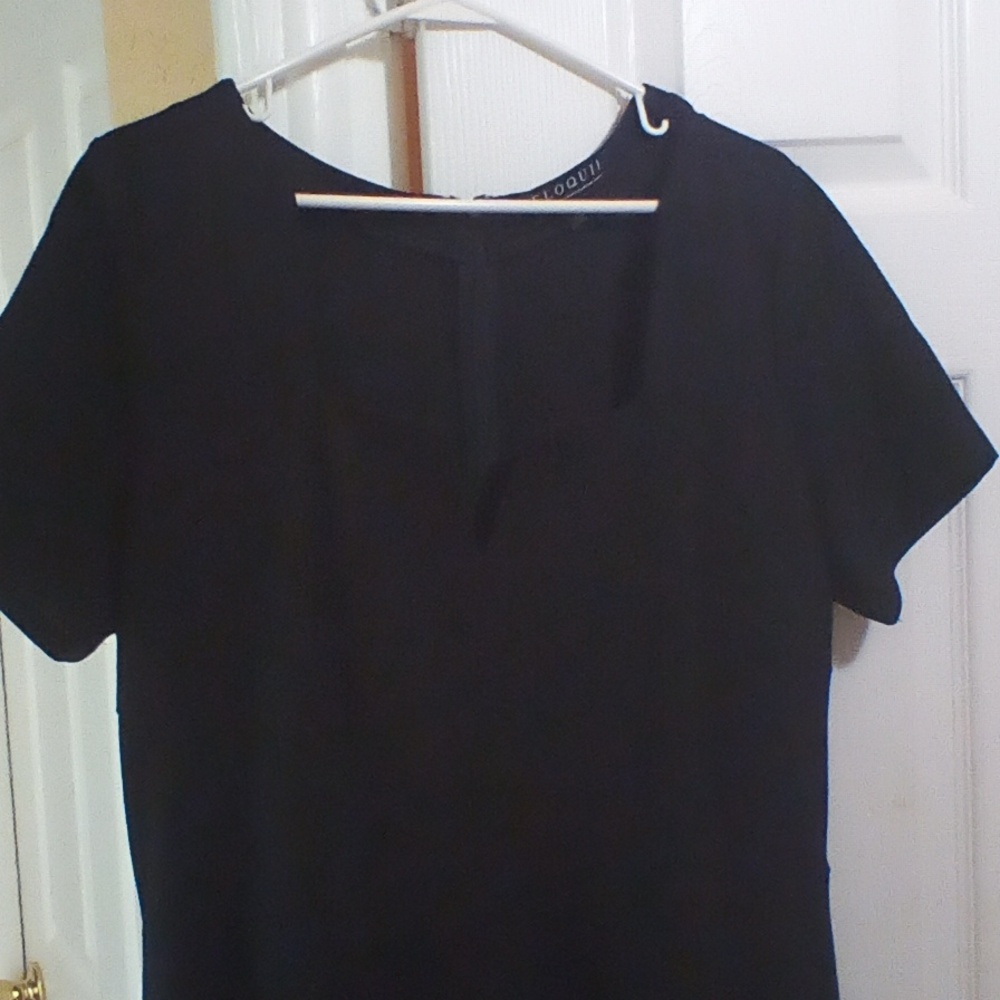 Black Dress: V-neck ,short  sleeve, Black ,Zipper in the back, small v peak of b